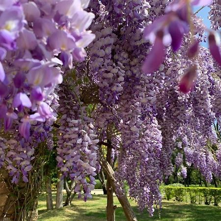 Villa Provencale Familiale Avec Piscine Grimaud Dış mekan fotoğraf