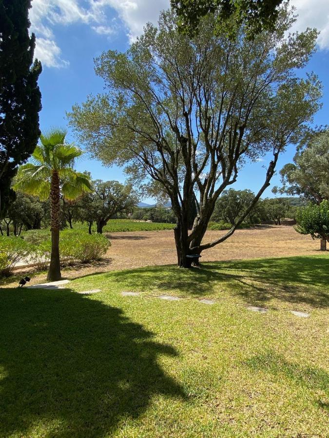 Villa Provencale Familiale Avec Piscine Grimaud Dış mekan fotoğraf
